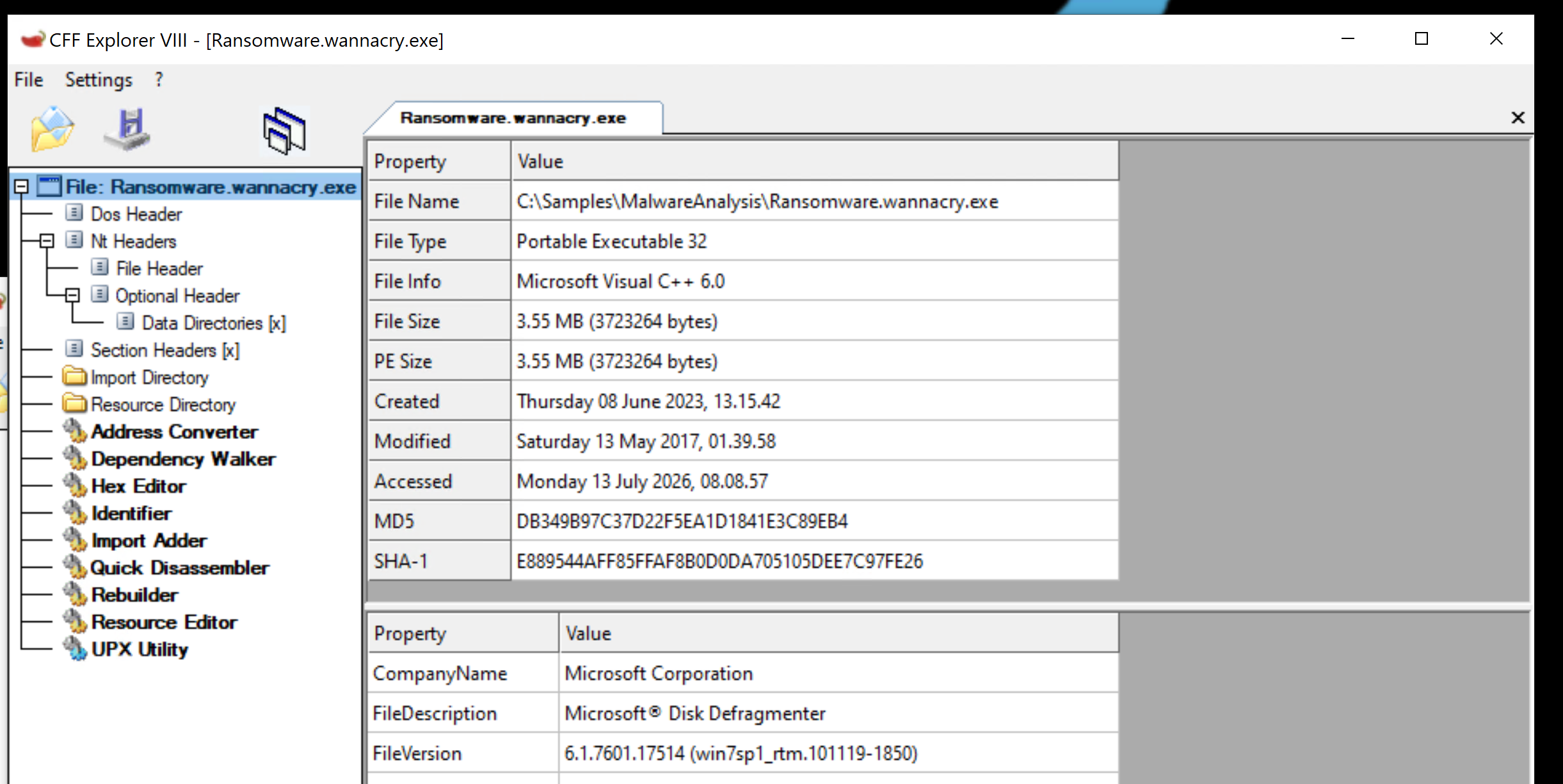 CFF Explorer showing the file type and PE structure