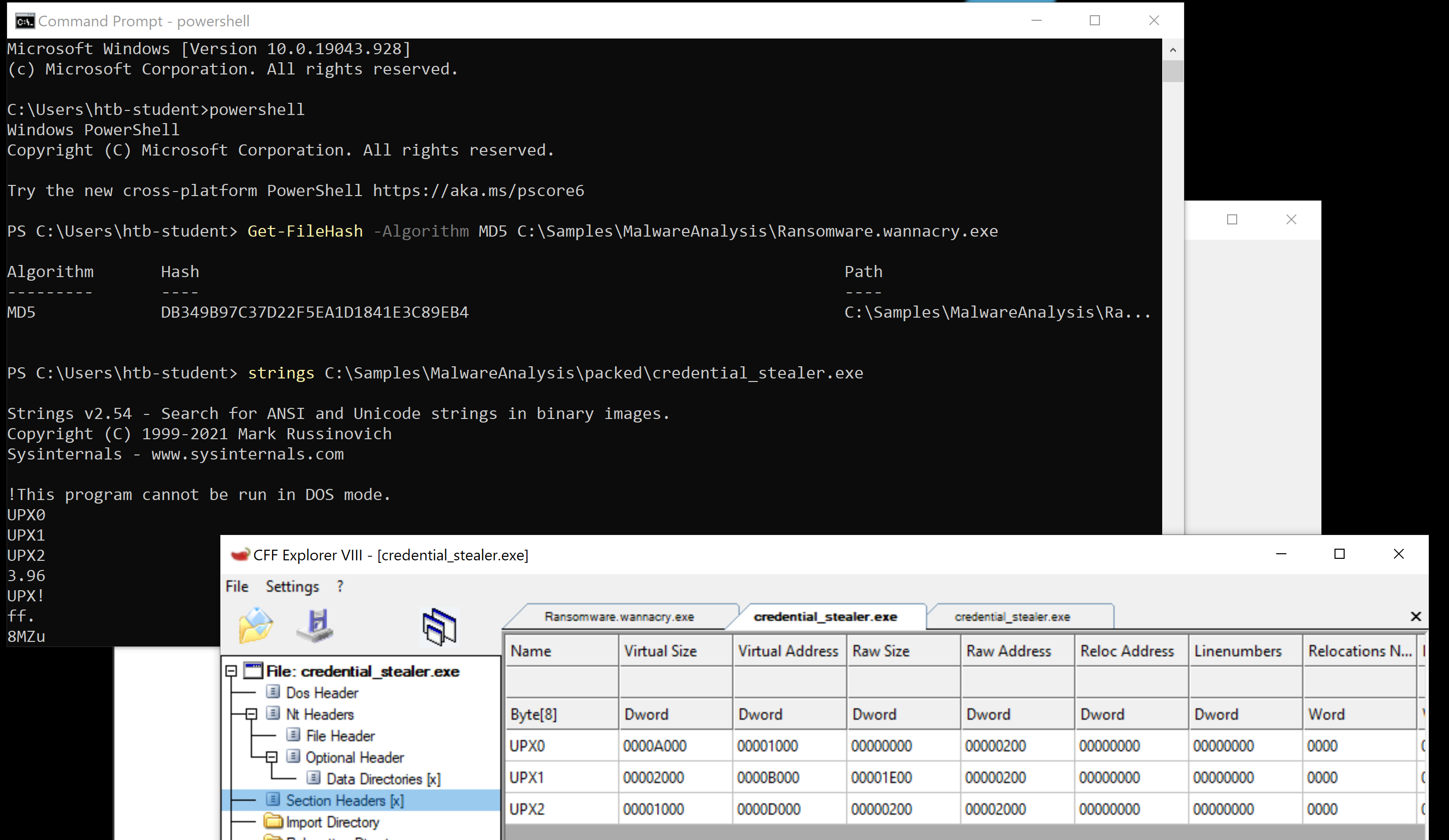 CFF Explorer showing the UPX section names