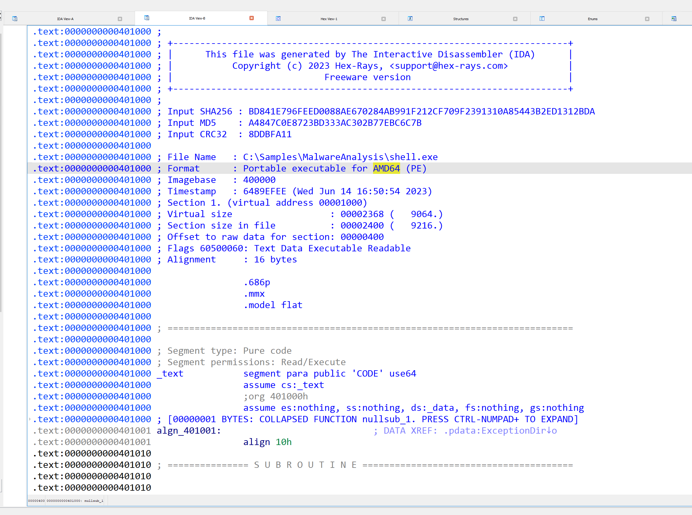 IDA text/disassembly view