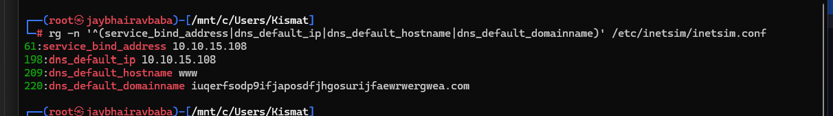 INetSim running and the connection appearing