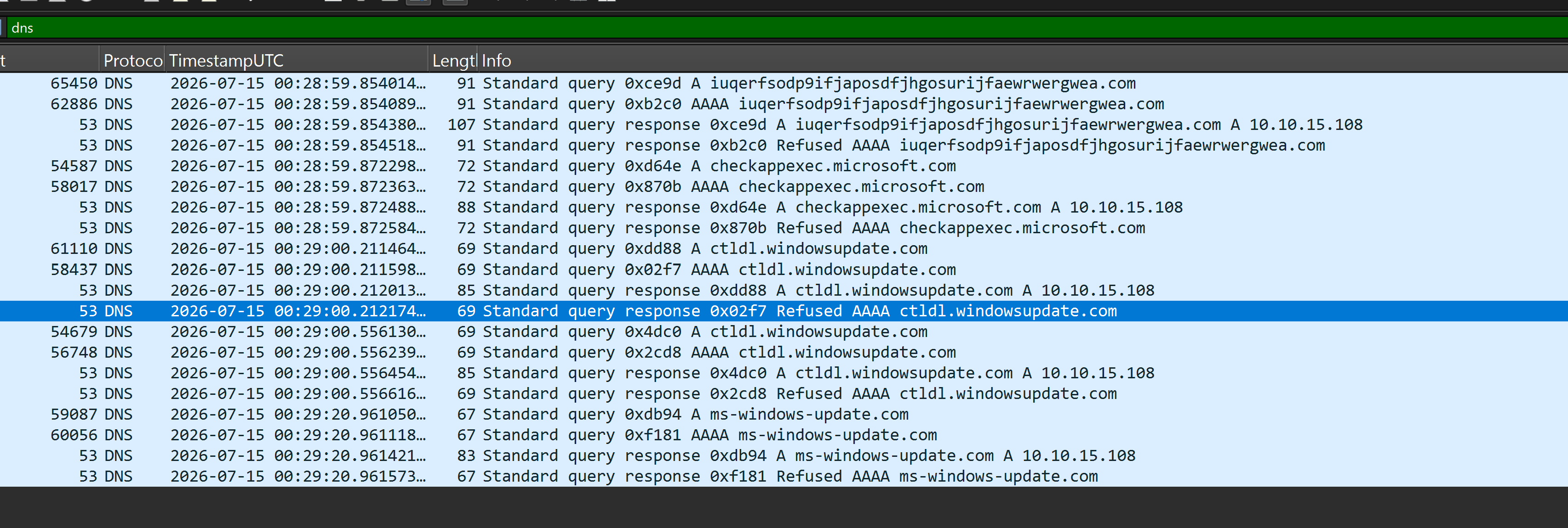 Fake DNS request and response from INetSim