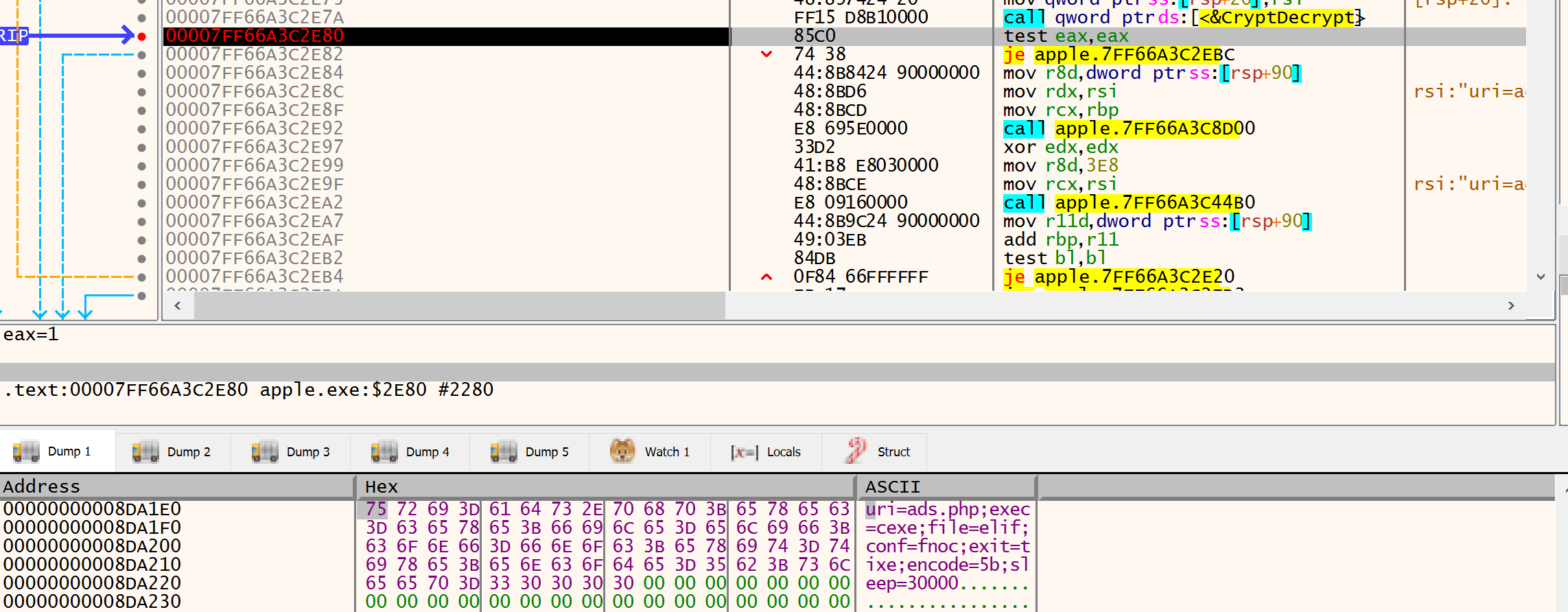 The decrypted config in the x64dbg dump