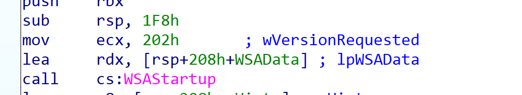 IDA sub_402EA0 calling WSAStartup
