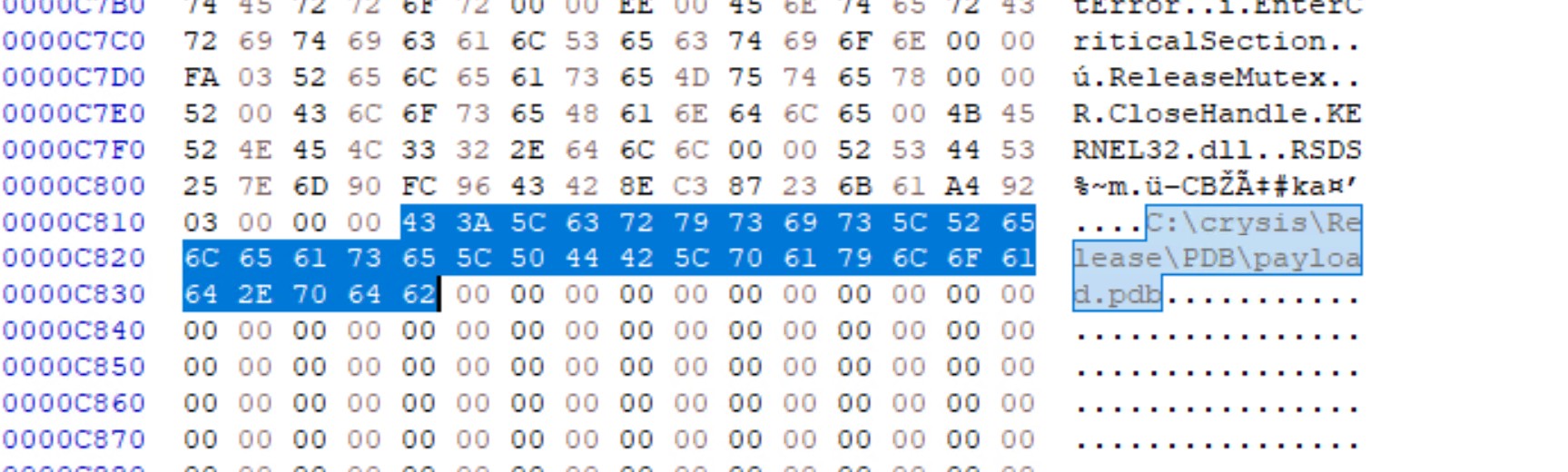 HxD confirming the PDB path bytes