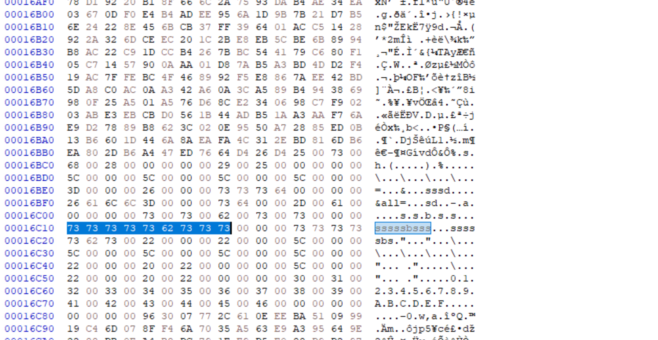 HxD showing the sssssbsss byte pattern