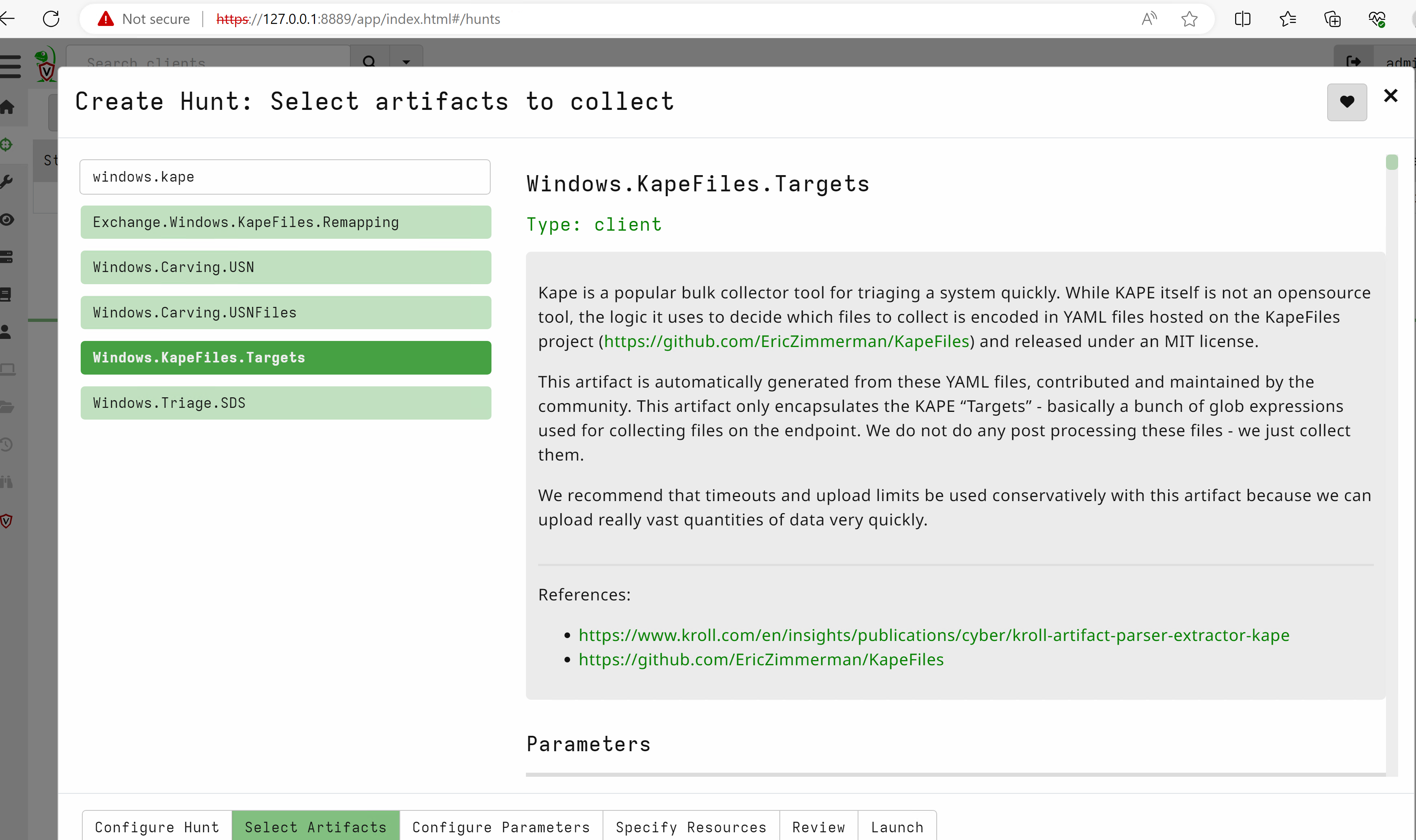 Rapid Triage screenshot