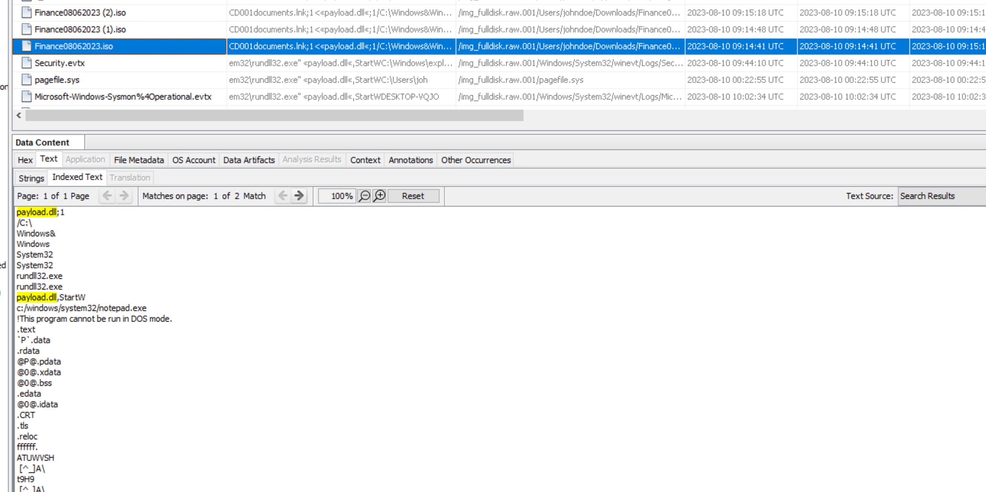 Disk and Triage Analysis screenshot