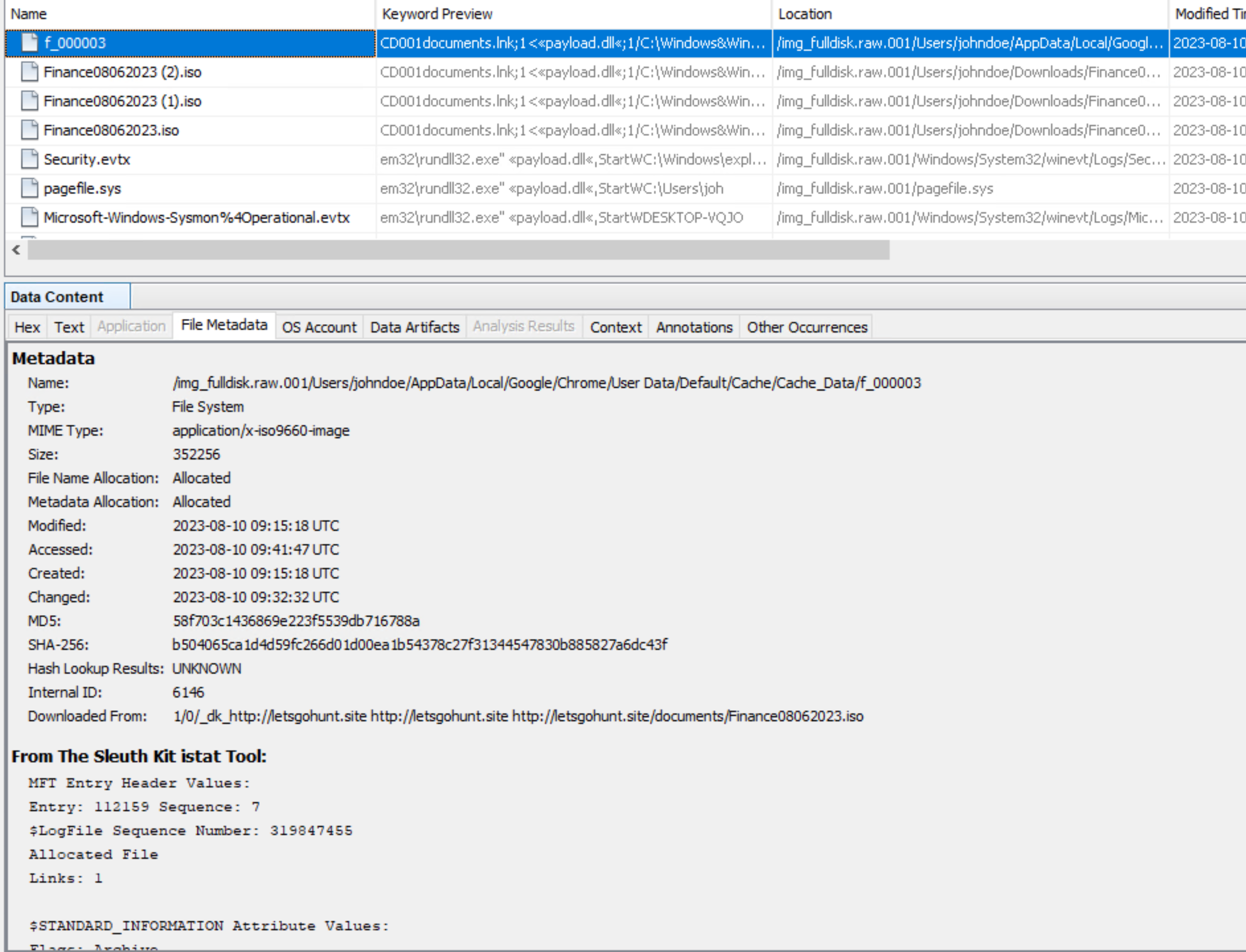 Disk and Triage Analysis screenshot