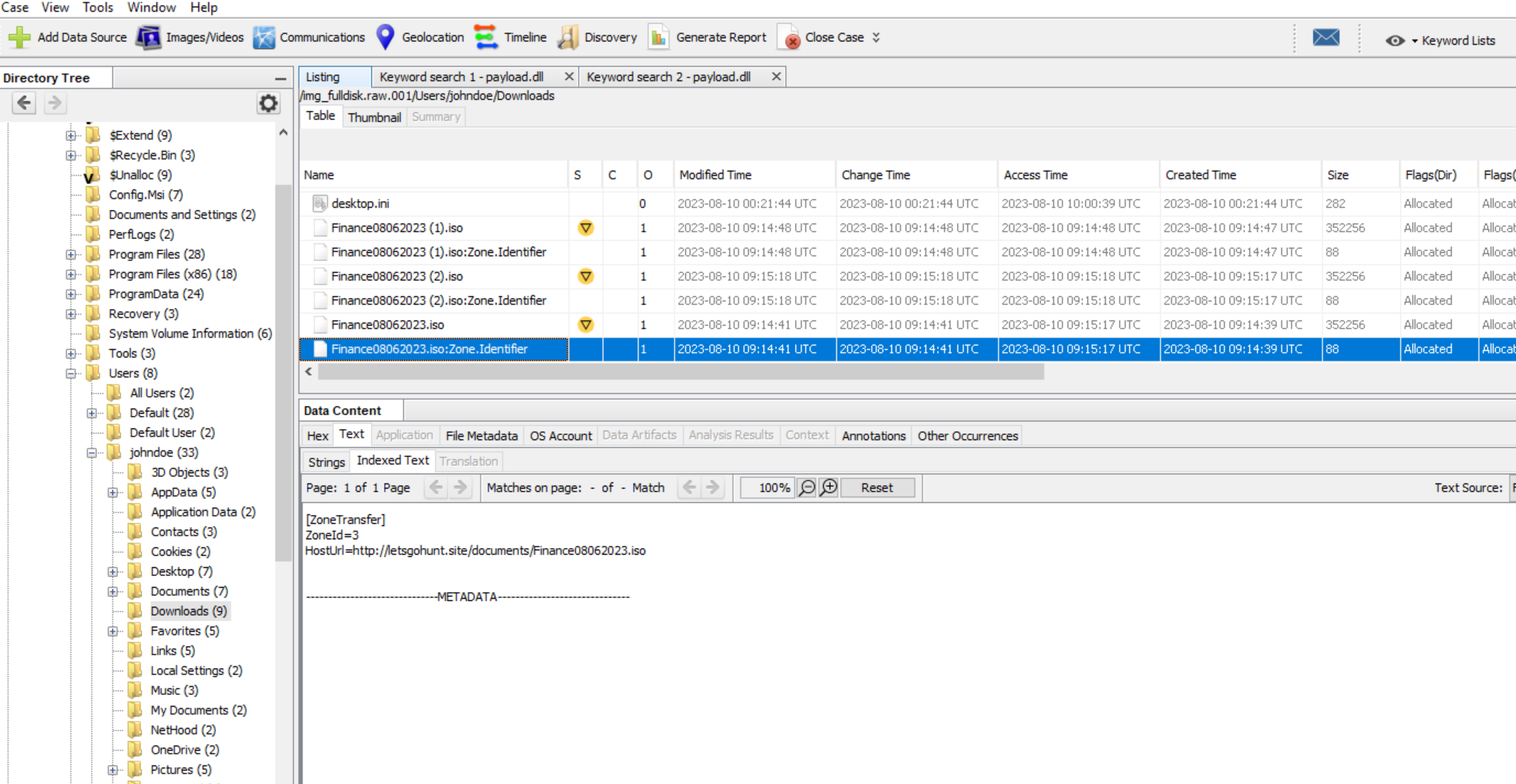 Disk and Triage Analysis screenshot