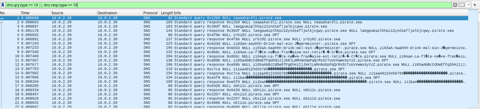 Almost all packets using DNS NULL records