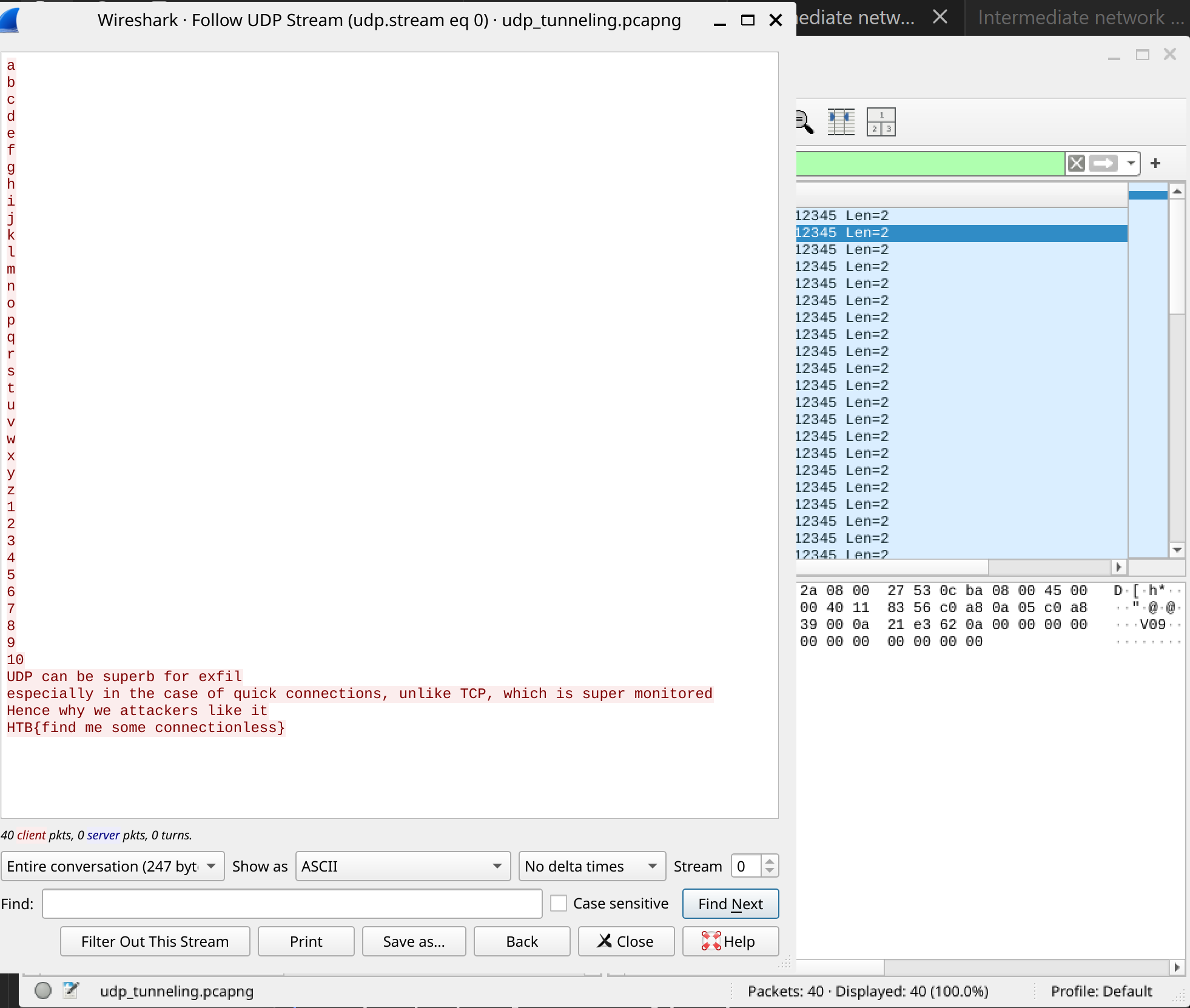 UDP tunneling with consistent packet lengths